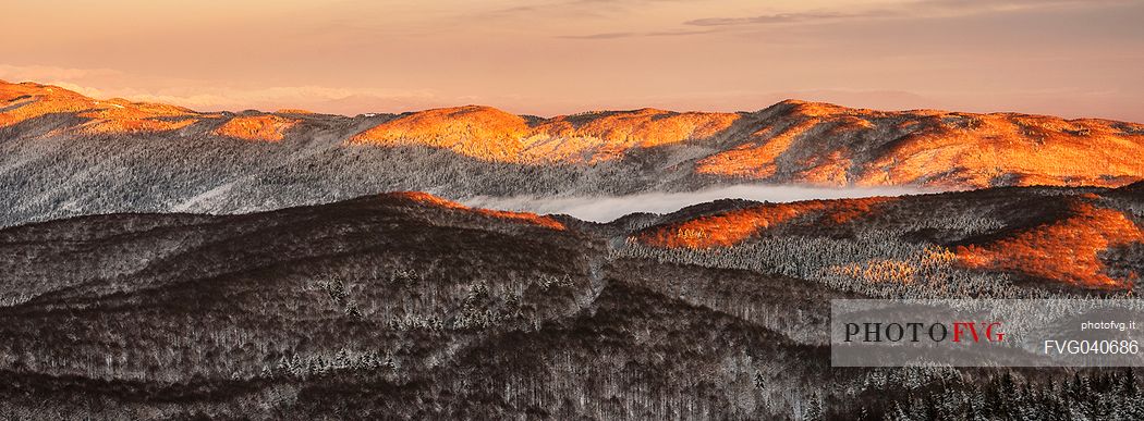 Panoramic view of the Cansiglio forest in a wintry sunrise, Veneto, Italy, Europe