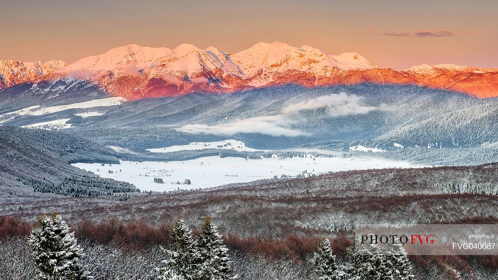 Panoramic view of the Cansiglio plateau surrounded by the forest in a wintry sunrise, in the background the Monte Cavallo mountain range Veneto, Italy, Europe