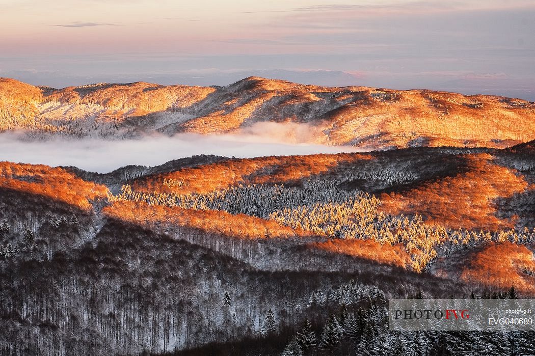 Panoramic view of the Cansiglio forest in a wintry sunrise, Veneto, Italy, Europe