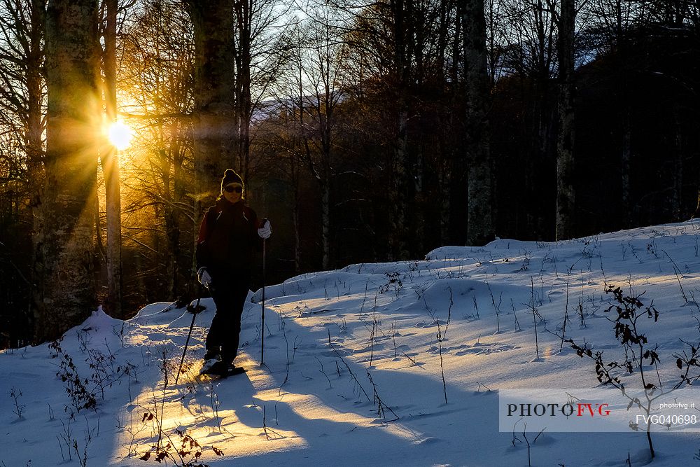 Snowshoe hike in the winter path in the Cansiglio forest, Pizzaoc mount,  Veneto, Italy, Europe