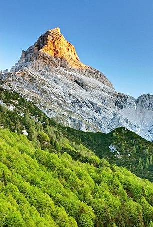 Mount Duranno at dawn, in foreground the spring-dressed beech forest