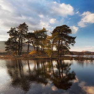 Two scots pines at sunset at Loch Tulla, Inveroran