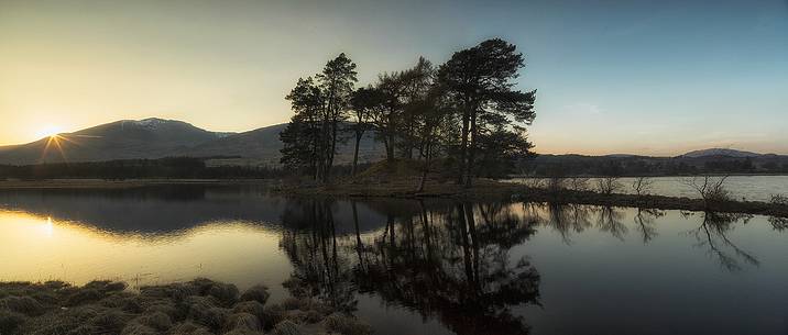 Two scots pines at sunset at Loch Tulla, Inveroran