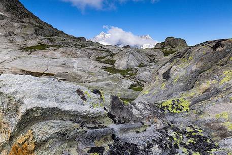 View from Eggishorn mountain towards Jungfrau mounatin group, Aletsch glacier, Fiesch, Canton of Valais, Switzerland, Europe
 