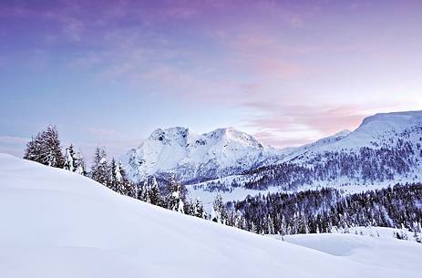 Sunset over snowy forest, in the background Bivera Mountain Group Sunset over snowy forest, in the background Bivera Mountain Group