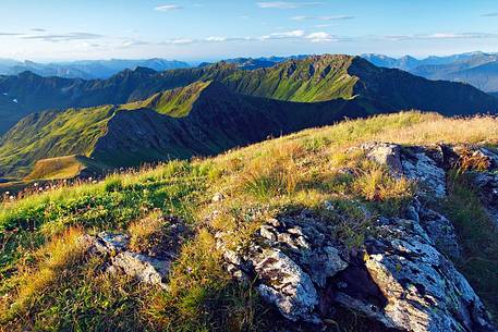 Alpine meadows near Coglians mount