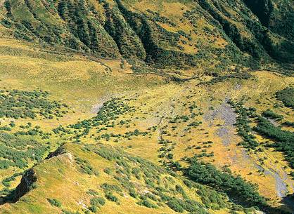 Lights and colours in Chiaula brook valley, view from Mount Crostis