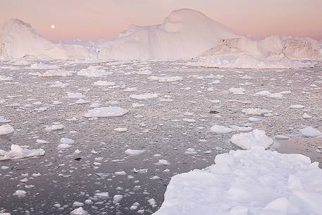 Moonlight over the icebergs of Kangerlua Fjord at dusk