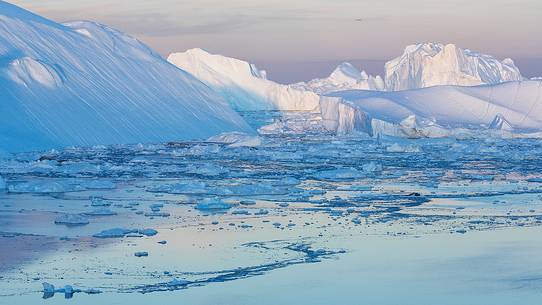 Morning light on icebergs of Kangerlua Fjord at dawn