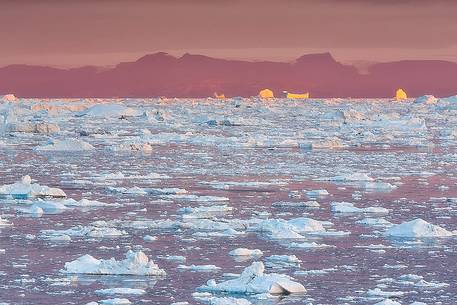 Sunrise light on icebergs and moving ice of Kangerlua Fjord 