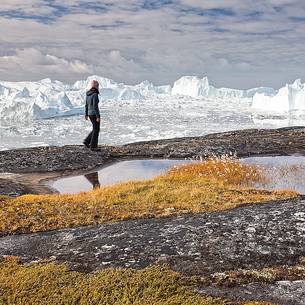 Hiking and action near a small pond; in the background icebergs in Kangerlua Fjord Hiking and action near a small pond; in the background icebergs in Kangerlua Fjord