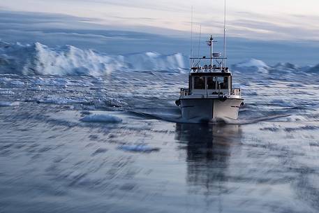 Fish boat moves fast between the ice-water of the sea in front of Illulissat town Fish boat moves fast between the ice-water of the sea in front of Illulissat town
