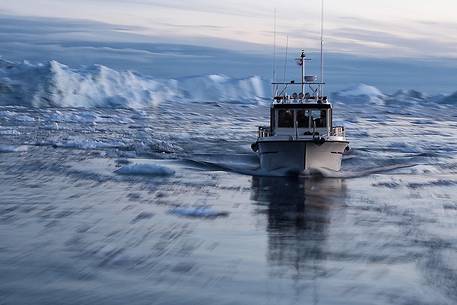 Fish boat moves fast between the ice-water of the sea in front of Illulissat town