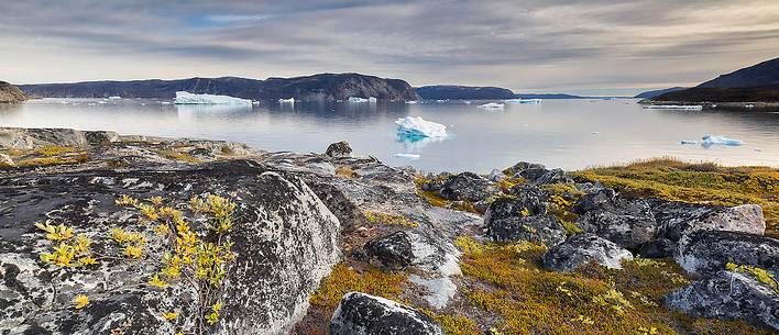 Reefs, sea with icebergs of Ataa a small village of
fishermen and seal hunters which was abandoned in the 50s