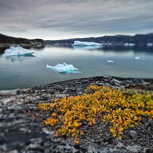 Reefs, sea with icebergs of Ataa a small village of
fishermen and seal hunters which was abandoned in the 50s