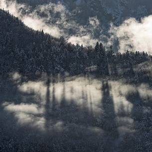 Heavy snowfall on fir-trees.
A magic landscape in Sant'Osvaldo Pass