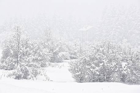 Snow covered evrithing near alpine town of Claut Snow covered evrithing near alpine town of Claut