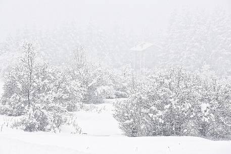 Snow covered evrithing near alpine town of Claut