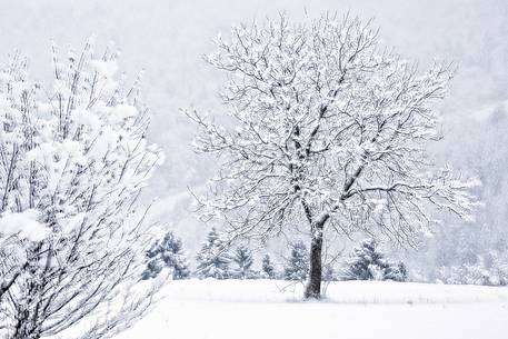 Snow covered everything near alpine town of Claut Snow covered everything near alpine town of Claut