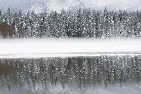 Fusine Lake and firs forest after an intense snowfall