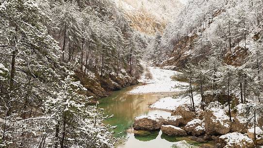 Meduna river and fir Forest after a light snowfall, Tramontina Valley