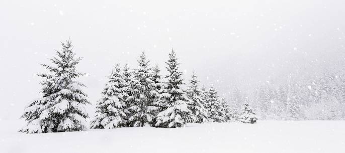 Heavy snowfall on fir-trees.
A magic landscape in Sant'Osvaldo Pass