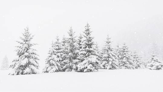 Heavy snowfall on fir-trees.
A magic landscape in Sant'Osvaldo Pass