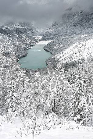 Heavy snowfall on fir-trees.
A magic landscape around the lake of Vajont in the Dolomiti Friulane Natural Park