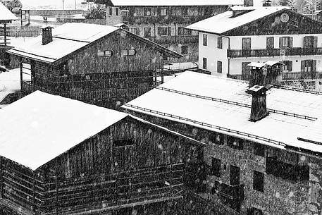 Typical houses in Sauris di Sotto