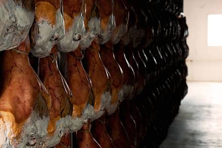 Inside Wolf ham factory, Sauris di Sotto
