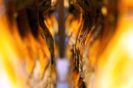 Inside Wolf ham factory, Sauris di Sotto