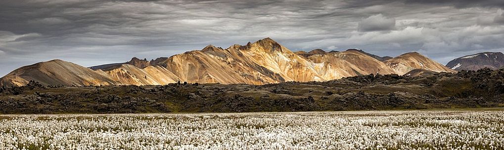 The multicoloured rhyolite mountains in the area of Landmannalaugar.
In the foreground cottongrass field