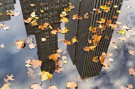 Midtown skyscrapers reflected in the puddle