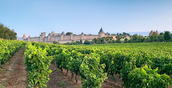 The mediavel ancient city of Carcassonne and one of the surrounding vineyards