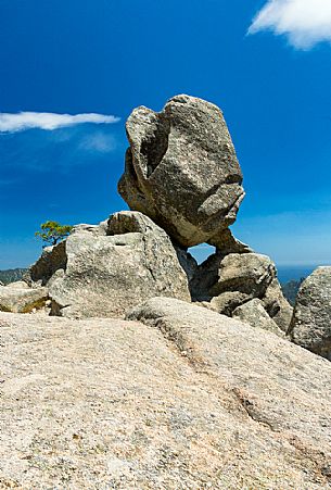 Bouders in the Ospedale forest, Corsica