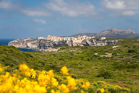Bonifacio from the trail to Cape Pertusato Bonifacio from the trail to Cape Pertusato