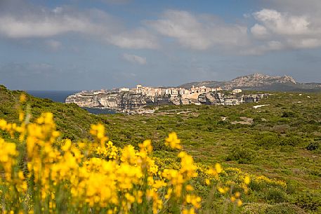 Bonifacio from the trail to Cape Pertusato Bonifacio from the trail to Cape Pertusato
