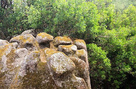 The prehistoric site of Filitosa near Sartene