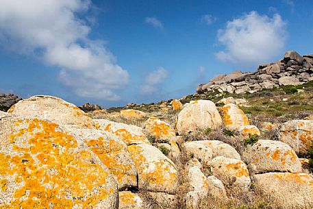 Lavezzi islands in the natual reserve of Bocche di Bonifacio