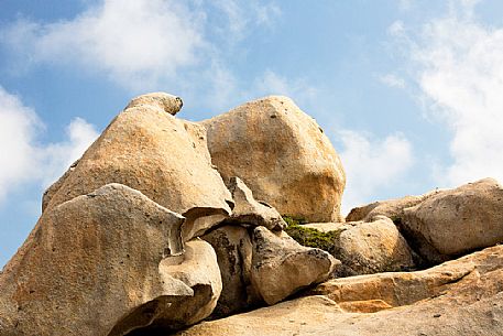 Lavezzi islands in the natual reserve of Bocche di Bonifacio