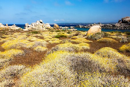 Lavezzi islands in the natual reserve of Bocche di Bonifacio, in the background the village of Bonifacio and its white cliffs