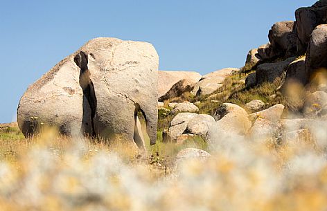 The rock elephant in the Lavezzi, natual reserve of Bocche di Bonifacio