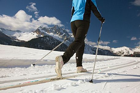 Cross-country skiing on the slopes of Sauris di Sopra , in the background the Monte Bivera , Sauris Cross-country skiing on the slopes of Sauris di Sopra , in the background the Monte Bivera , Sauris