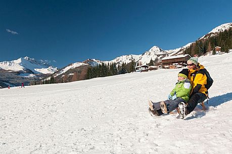 Sled piste in Sauris di Sopra di Sopra
