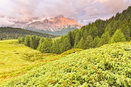 Dawn of Sesto Dolomites from pastures of Malga Nemes, South Tyrol, Italy