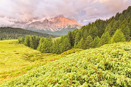 Dawn of Sesto Dolomites from pastures of Malga Nemes, South Tyrol, Italy Dawn of Sesto Dolomites from pastures of Malga Nemes, South Tyrol, Italy