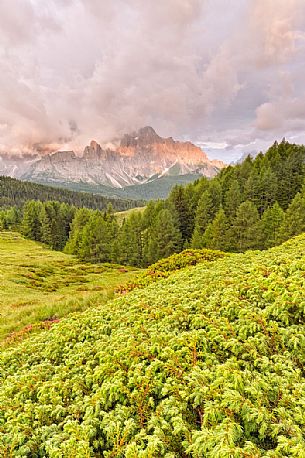 Dawn of Sesto Dolomites from pastures of Malga Nemes, South Tyrol, dolomites, Italy