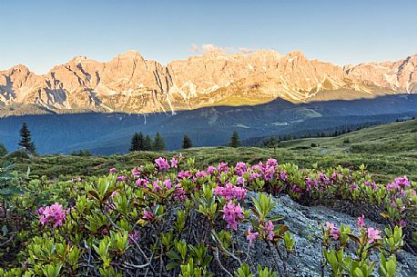 Sunrise on Mount Popera from Quatern summit, dolomites, Italy