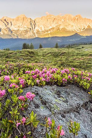 Sunrise on Mount Popera from Quatern summit, dolomites, Italy