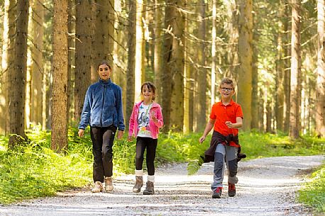 Little hikers in Val Visdende, Cadore, Italy